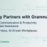 grammarly partner